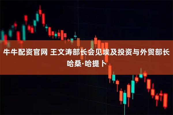 牛牛配资官网 王文涛部长会见埃及投资与外贸部长哈桑·哈提卜