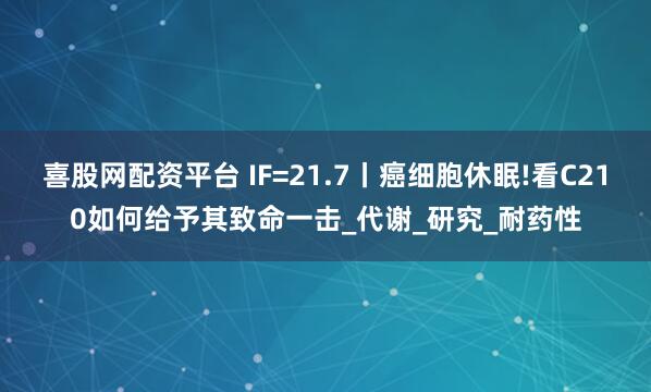 喜股网配资平台 IF=21.7丨癌细胞休眠!看C210如何给予其致命一击_代谢_研究_耐药性
