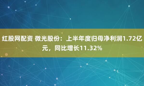 红股网配资 微光股份：上半年度归母净利润1.72亿元，同比增长11.32%