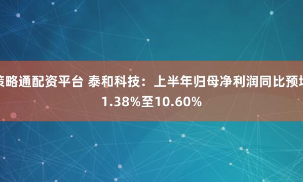 策略通配资平台 泰和科技：上半年归母净利润同比预增1.38%至10.60%