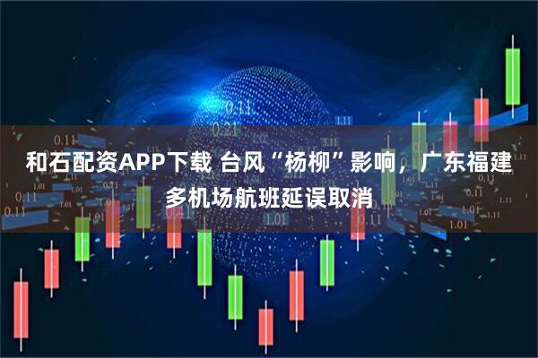 和石配资APP下载 台风“杨柳”影响，广东福建多机场航班延误取消