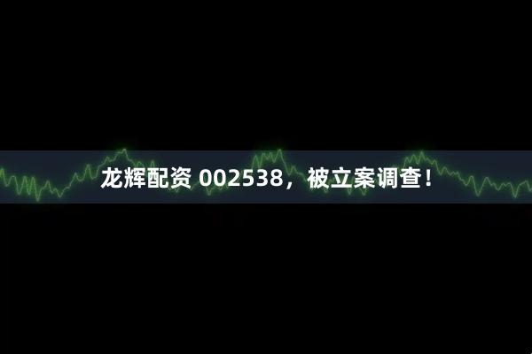 龙辉配资 002538，被立案调查！
