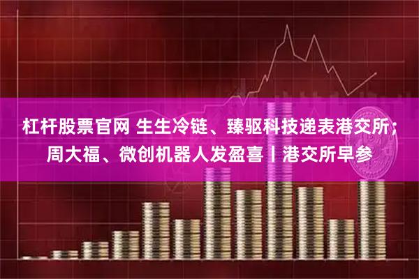 杠杆股票官网 生生冷链、臻驱科技递表港交所；周大福、微创机器人发盈喜丨港交所早参